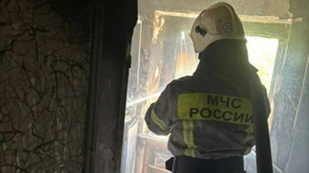 Фото: ГУ МЧС России по Алтайскому краю