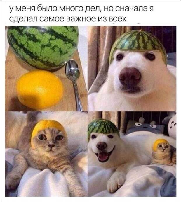 Фотоподборка