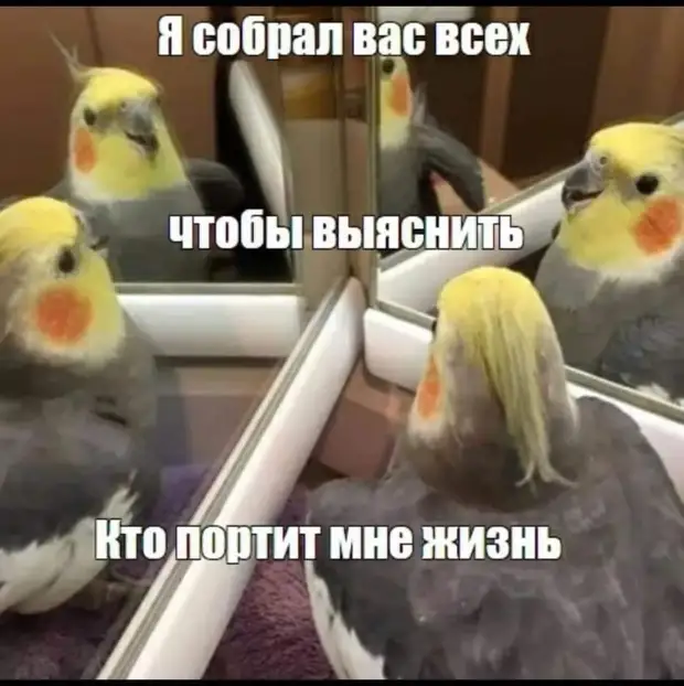 ,    !