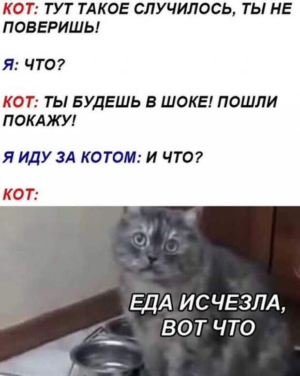 www.vsyako.net