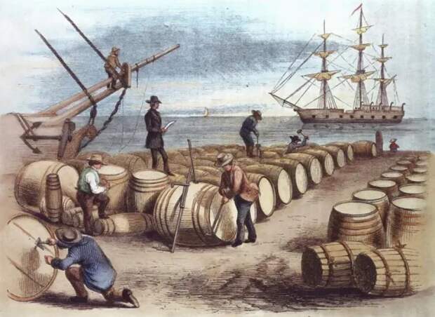 Дороже золота: почему на парусниках ром ценился меньше, чем глоток тухлой воды