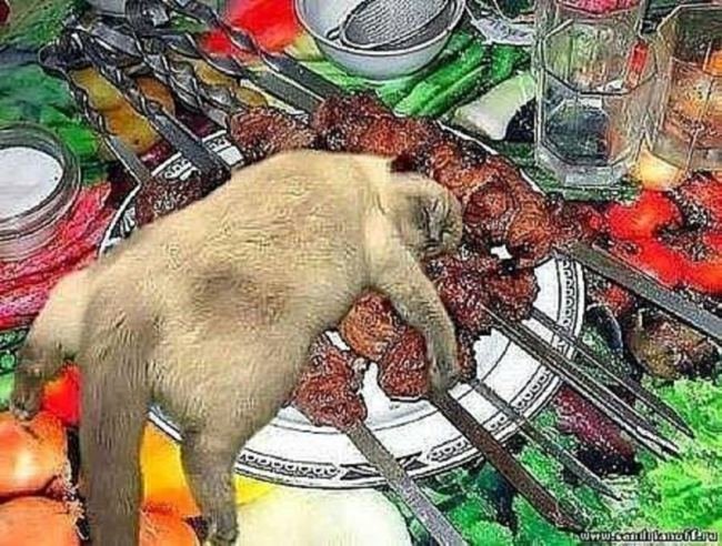 Валерьянка была лишней. настроение, фото, юмор
