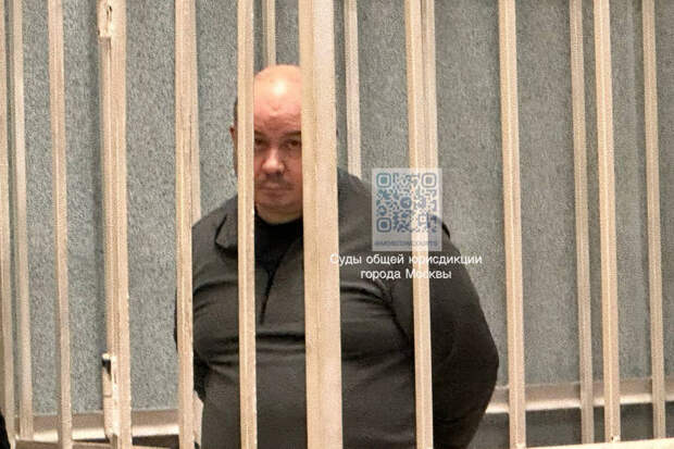 Адвокат Шелупахин: экс-замглавы управления МЧС России Даудашвили просится на СВО