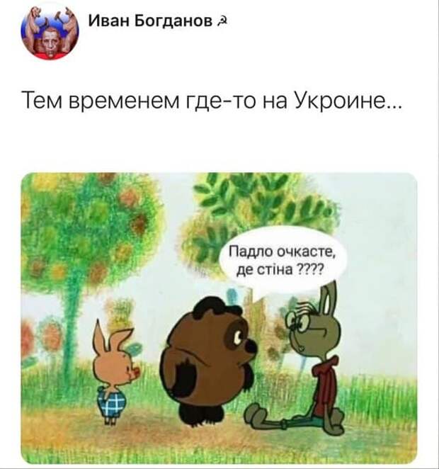 Стена тревоги нашей. И ее майданные «меценаты»