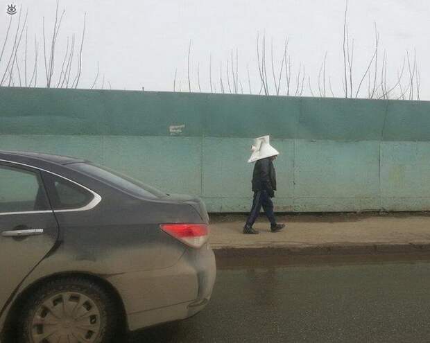 Наши приколы