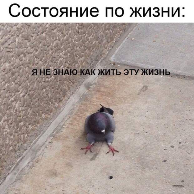 www.vsyako.net
