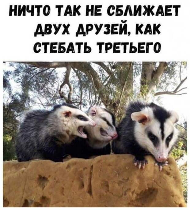 Друзья) Друзья)