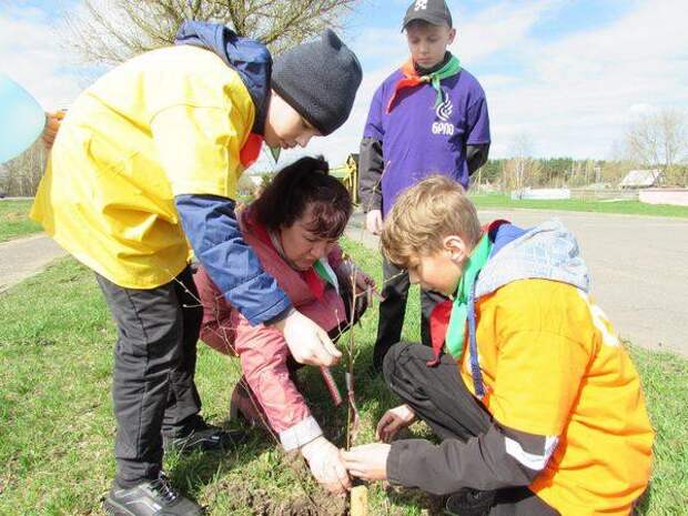 Аллею поколений высадили в Глуше Бобруйского района.