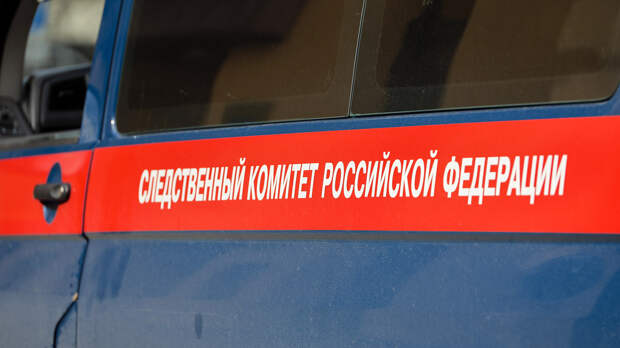СК Игушетии возбудил уголовное дело о насилии в отношении 21-летней жительницы