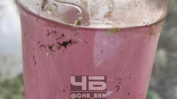 Вода из реки / Фото: Telegram-канал