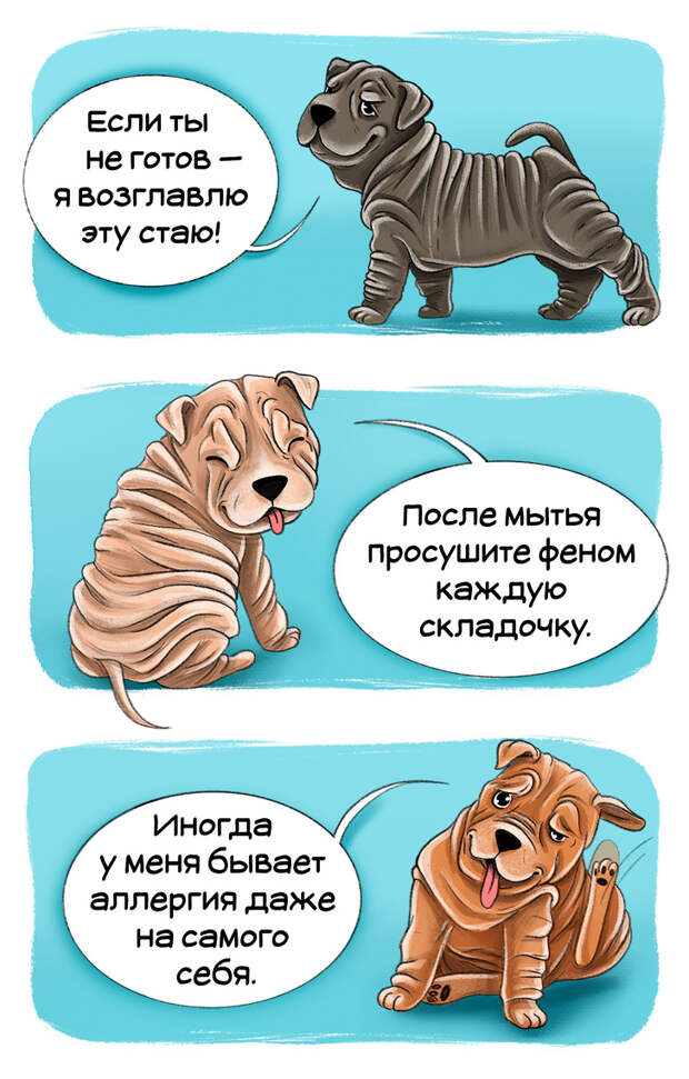 Честный гид по породам собак от первого лица (Часть 2-я)