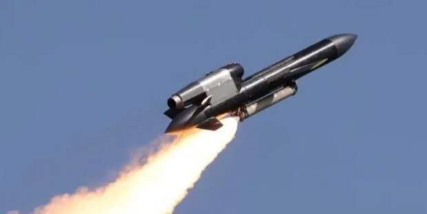 «Фламинги» над Удмуртией