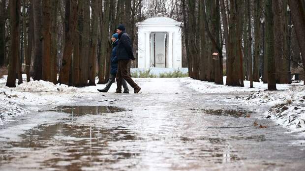 Синоптик Терешонок заявил о возможном наступлении ранней весны в Центральной России