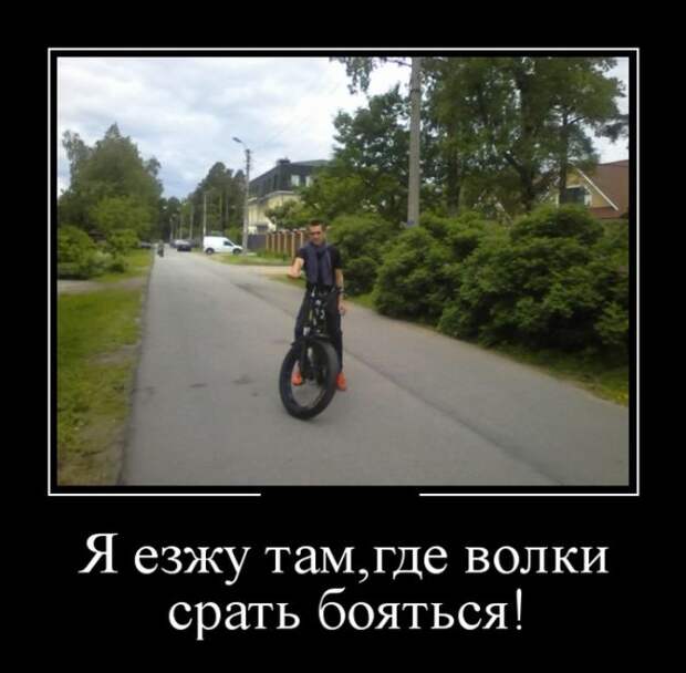 Демотиваторы - 931