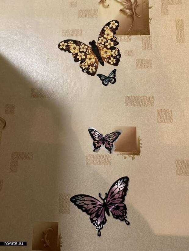 Спасительные бабочки.