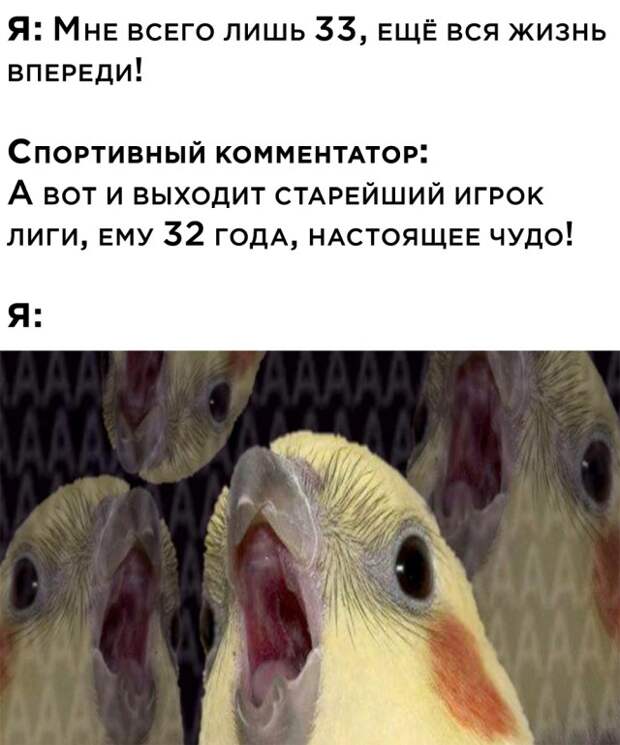 Смешные картинки вечер 2 августа 2021