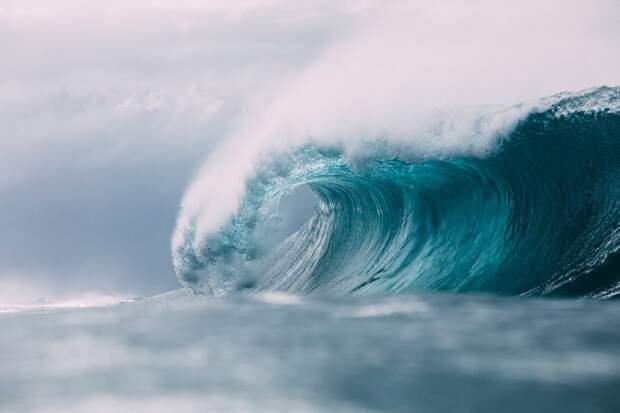"Сорвут большой куш": сразу 4 знака зодиака затопит мощное цунами денег с 26 ноября