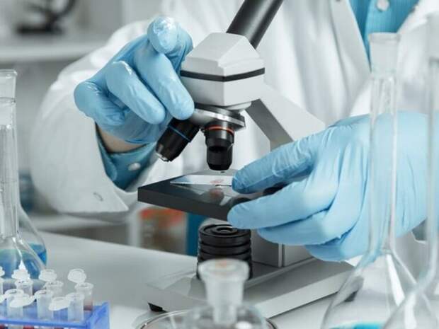 Массовое отравление детей в Сочи: Роспотребнадзор начал расследование