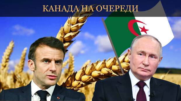 Подарок Макрона России: российское зерно вытесняет Францию с рынка Алжира. Париж потерял ключевого потребителя