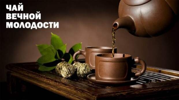 Чай вечной молодости из тибетских трактатов