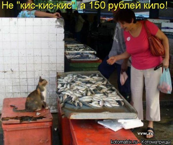 Мысли вслух :)