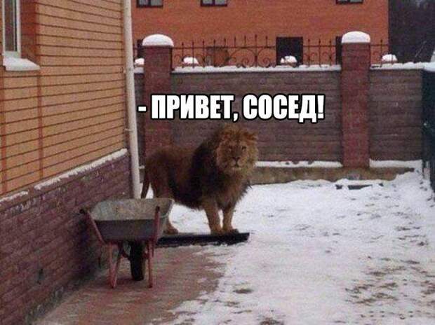 00e38201a1599d8 (700x524, 84Kb)