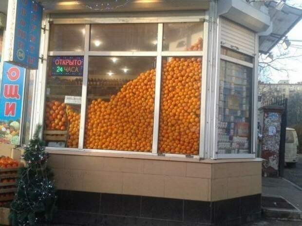 Смешные новогодние фото