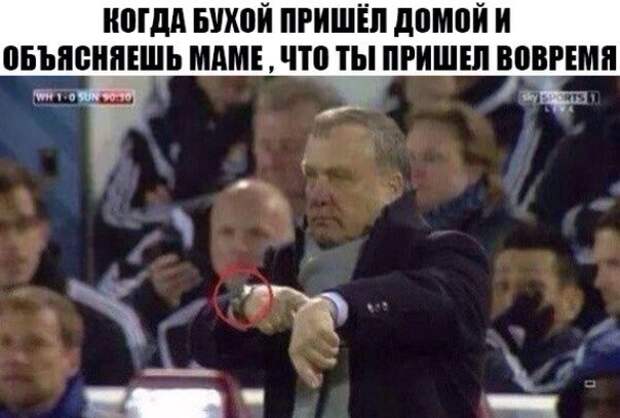 Смешные картинки с надписями для поднятия настроения (11 фото) Смешные картинки с надписями для поднятия настроения (11 фото)