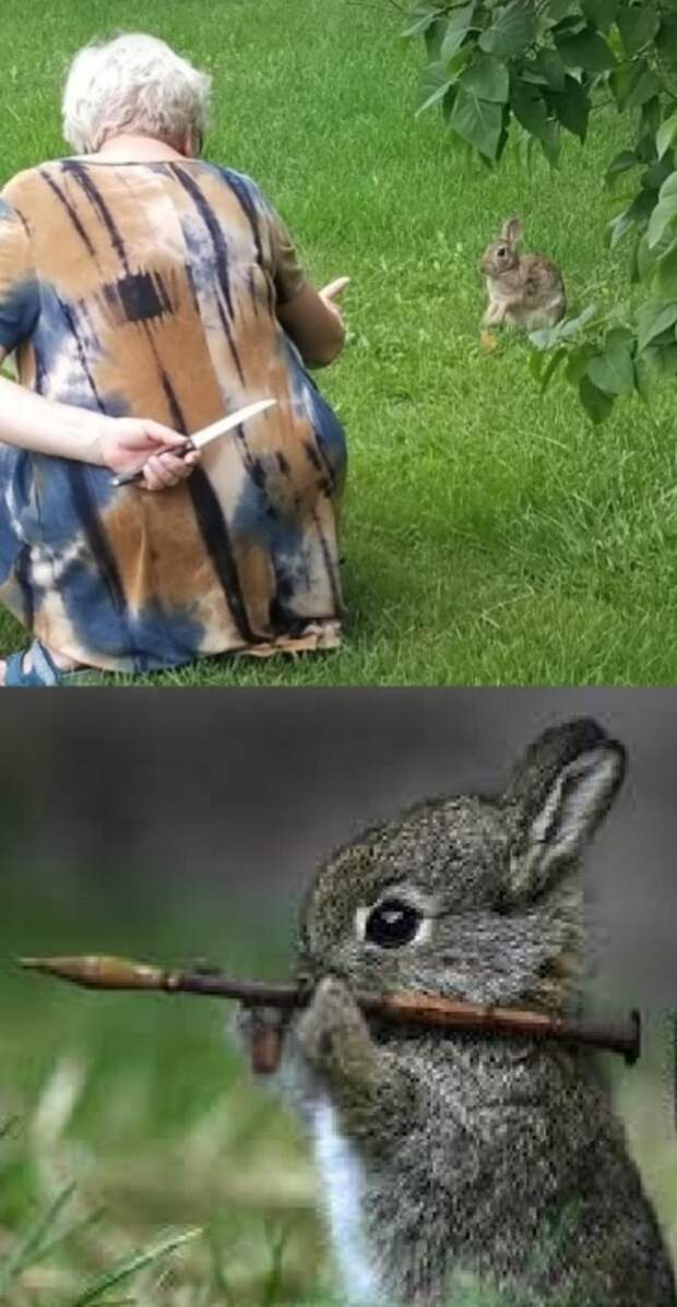 Бабушка с ножом за спиной и кролик мем