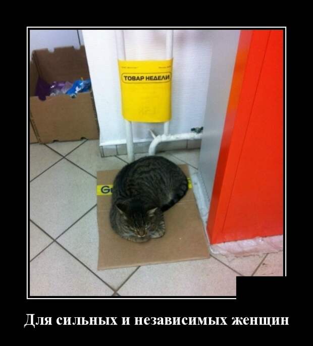 Демотиваторы (30 фото)