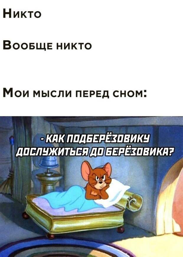 45 смешных фото для тех, кто внезапно загрустил