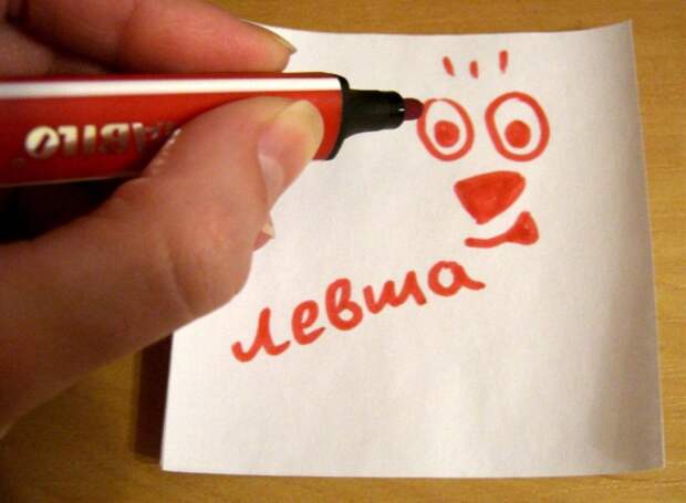 Как появляются левши