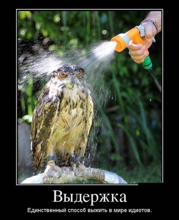 Демотиваторы (30 фото)