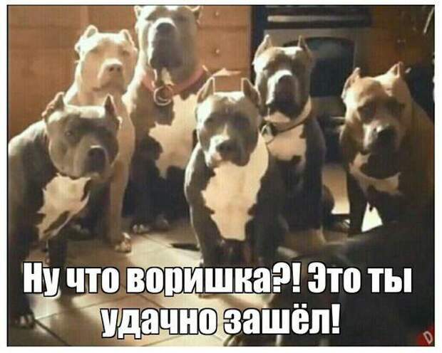 Свежие картинки с надписями этой пятницы