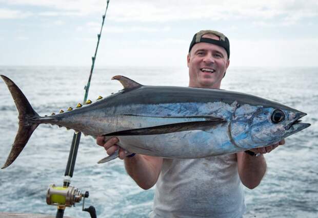 A happy angler wearing a backwards baseball cap, happily holding a Bluefin Tuna while standing next to a fishing rod.