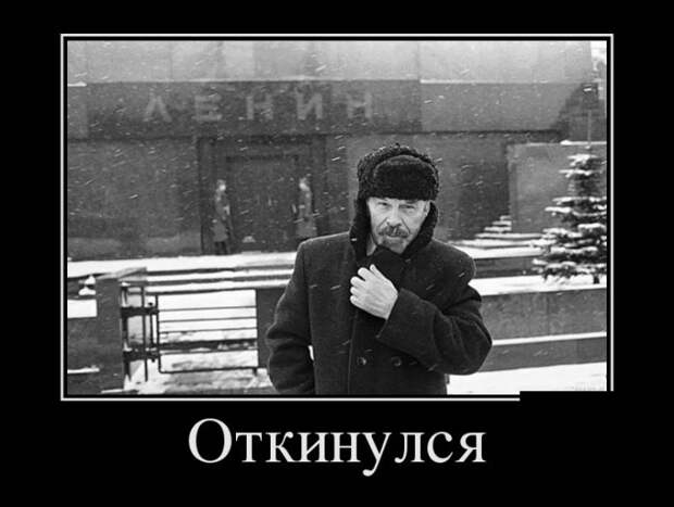 Демотиваторы (30 фото)