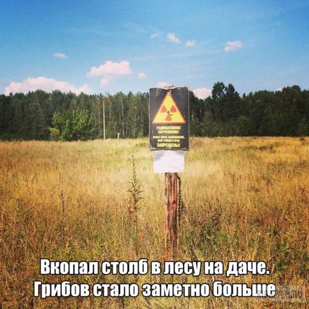 комменты из соцсетей