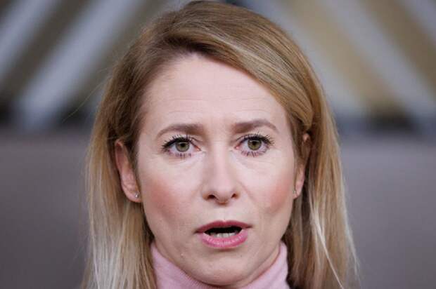 Каллас предложила депутатам выпивать на фоне мировой нестабильности