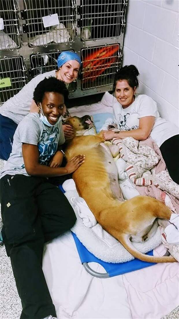shelter-workers-dance-with-animals-today-180321-inline5_b76d47cb54acd93d344790b7978198fd.fit-560w.jpg