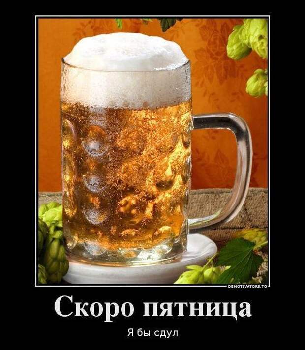 Прикольные демотиваторы для веселья (11 фото) Прикольные демотиваторы для веселья (11 фото)