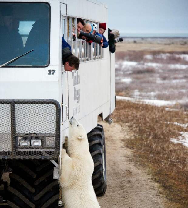 2. Без подписи