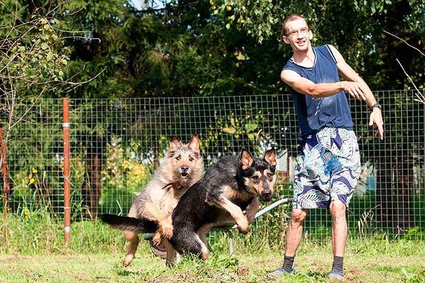 Эти две собаки - Сеня и Беня - до встречи с Александром дико боялись людей. 