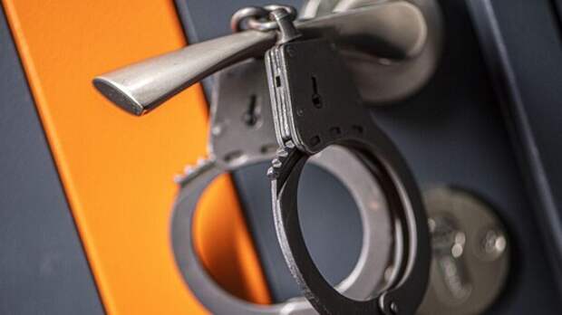 Во Владимире арестовали двух жителей, недовольных миграционной политикой