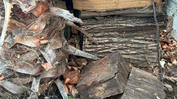 Головоломка: найдите кота в деревянной кладке