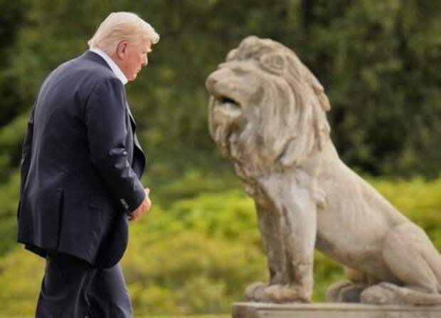 Больше не царь зверей. Трампа готовы кусать даже «шакалы»