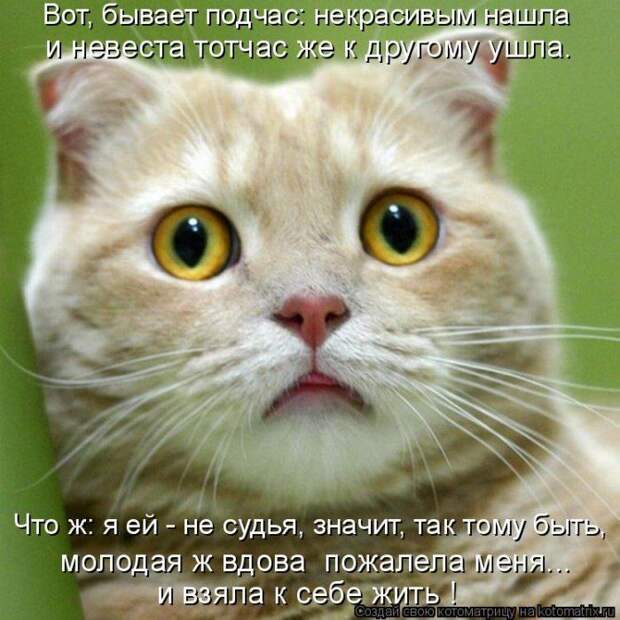 Мысли вслух :)