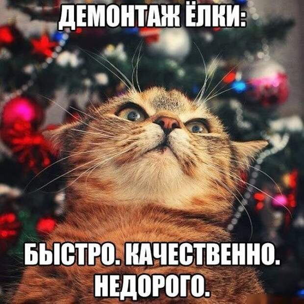 Похожее изображение