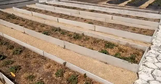 Узкие грядки по методу Лядова. С такими грядками будете спешить на дачу с радостью