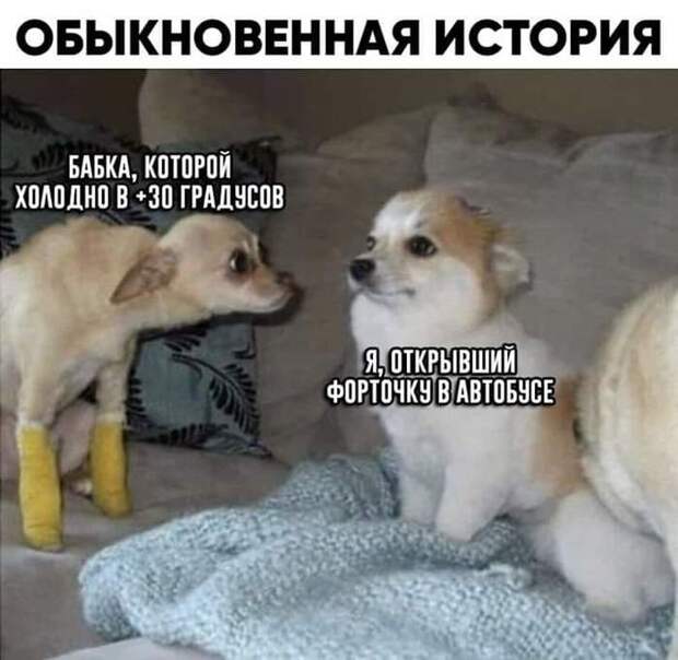 Обыкновенная история