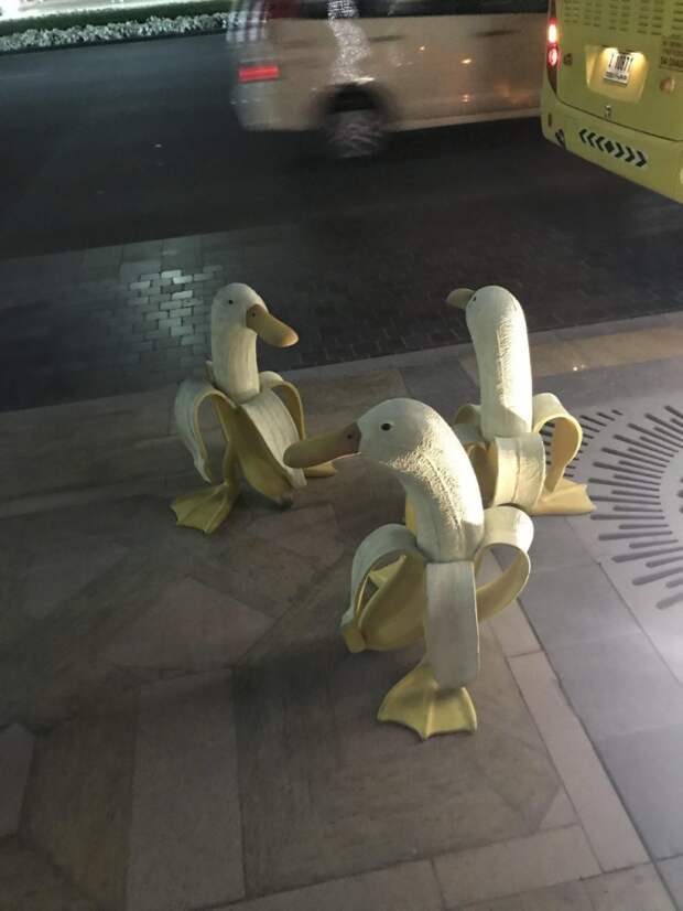 Фотоподборка
